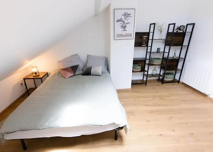 Stay Near The Magic 6 Persons Apartment, 1 -Minute Walk To Mulhouse Christmas Market!