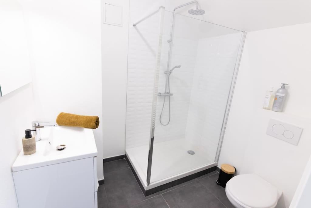 Apartment Near The Magic 6 Persons Apartment, 1 -minute Walk To Christmas Market! Mülhausen